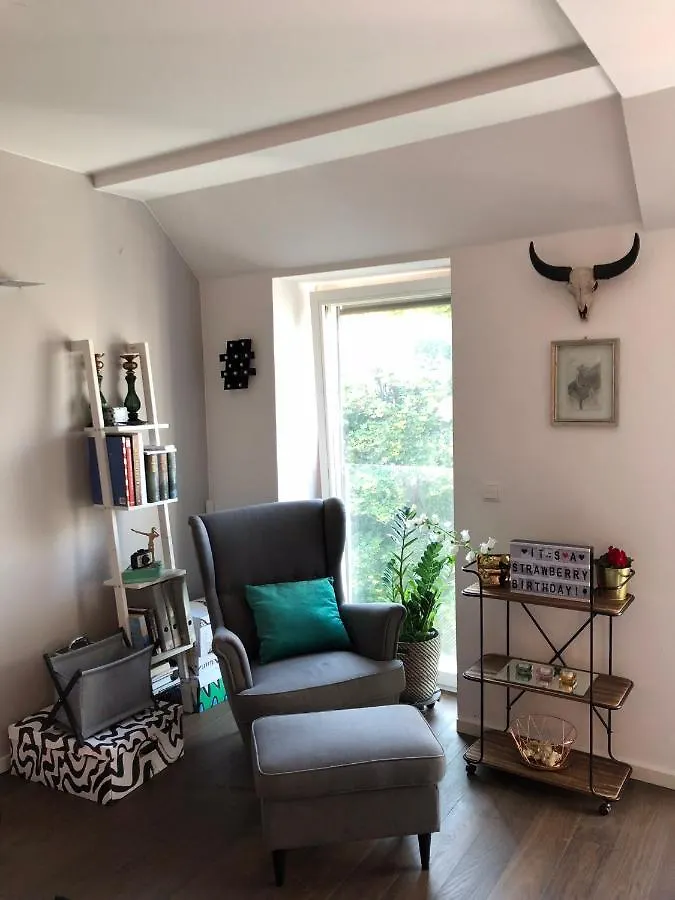 Stylish Rooms, Sunny Terrace In Vienna City Center